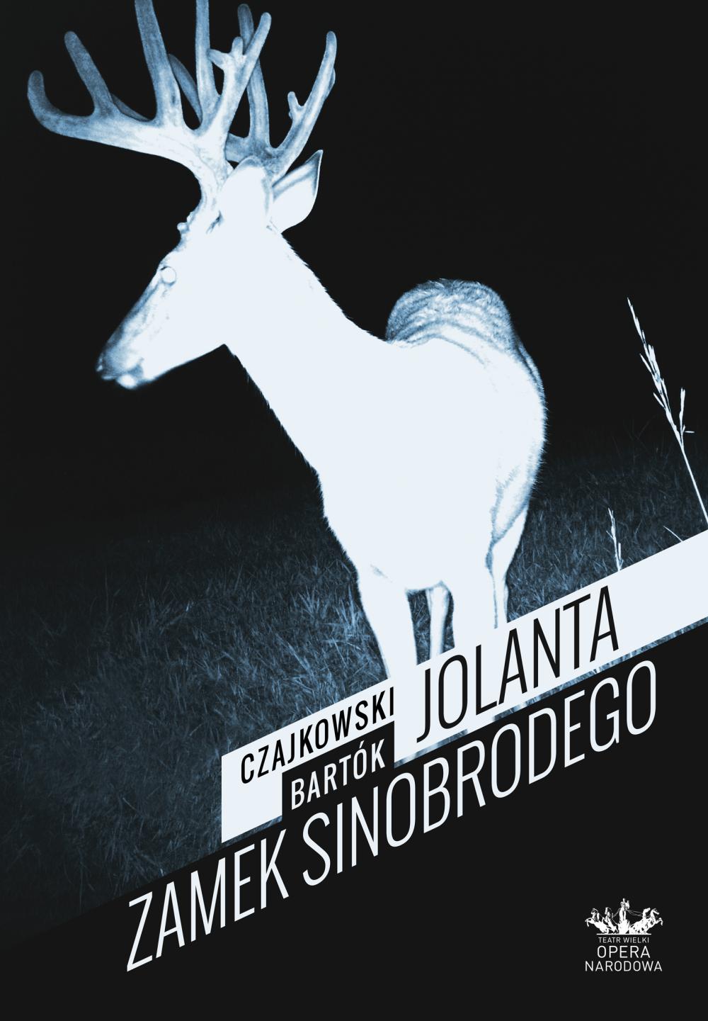 Plakat „Jolanta / Zamek Sinobrodego”, Piotr Czajkowski / Béla Bartók premiera 2013-12-13