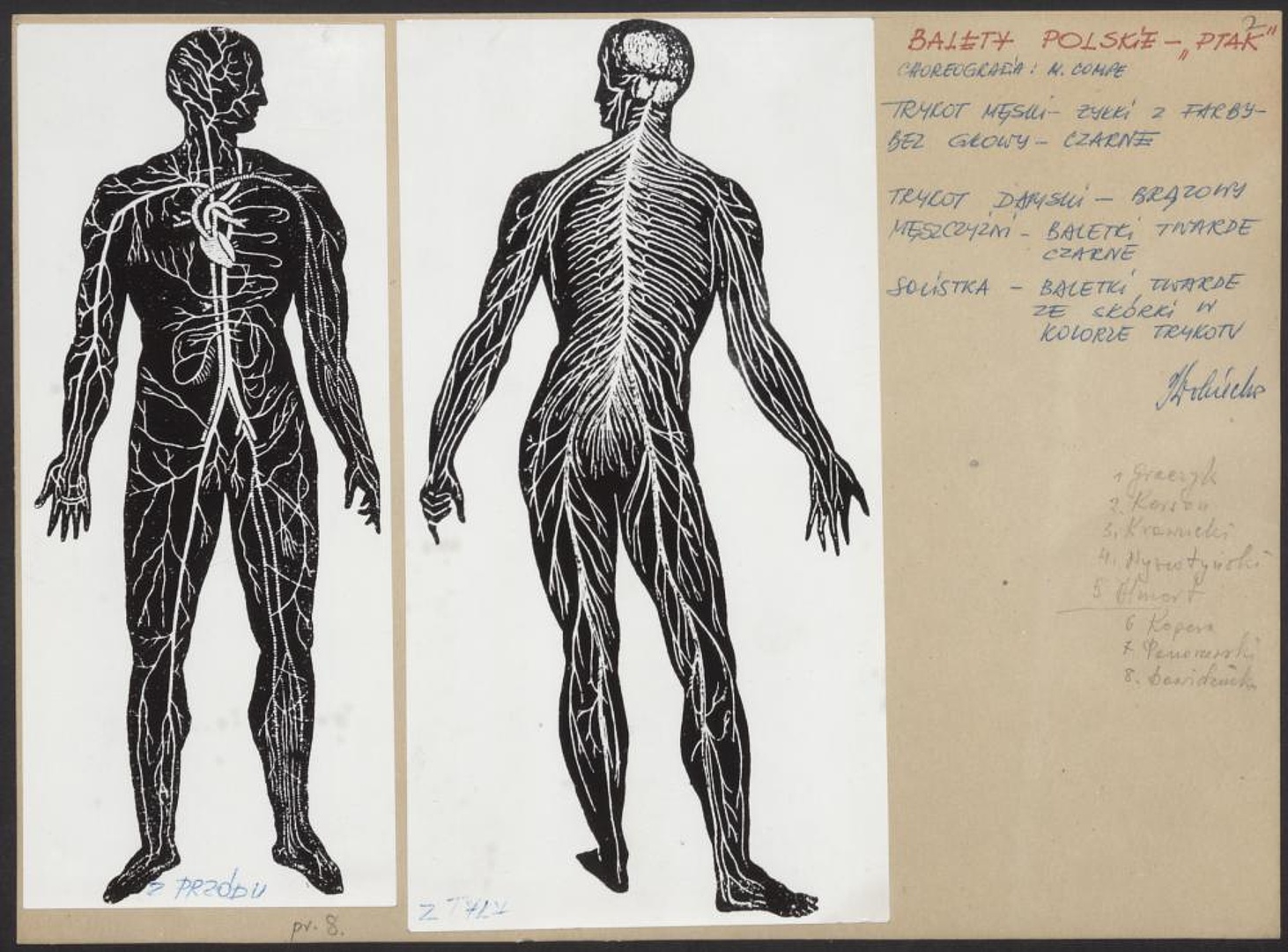 „Ndege - Ptak" Zbigniew Turski 1971-12-15