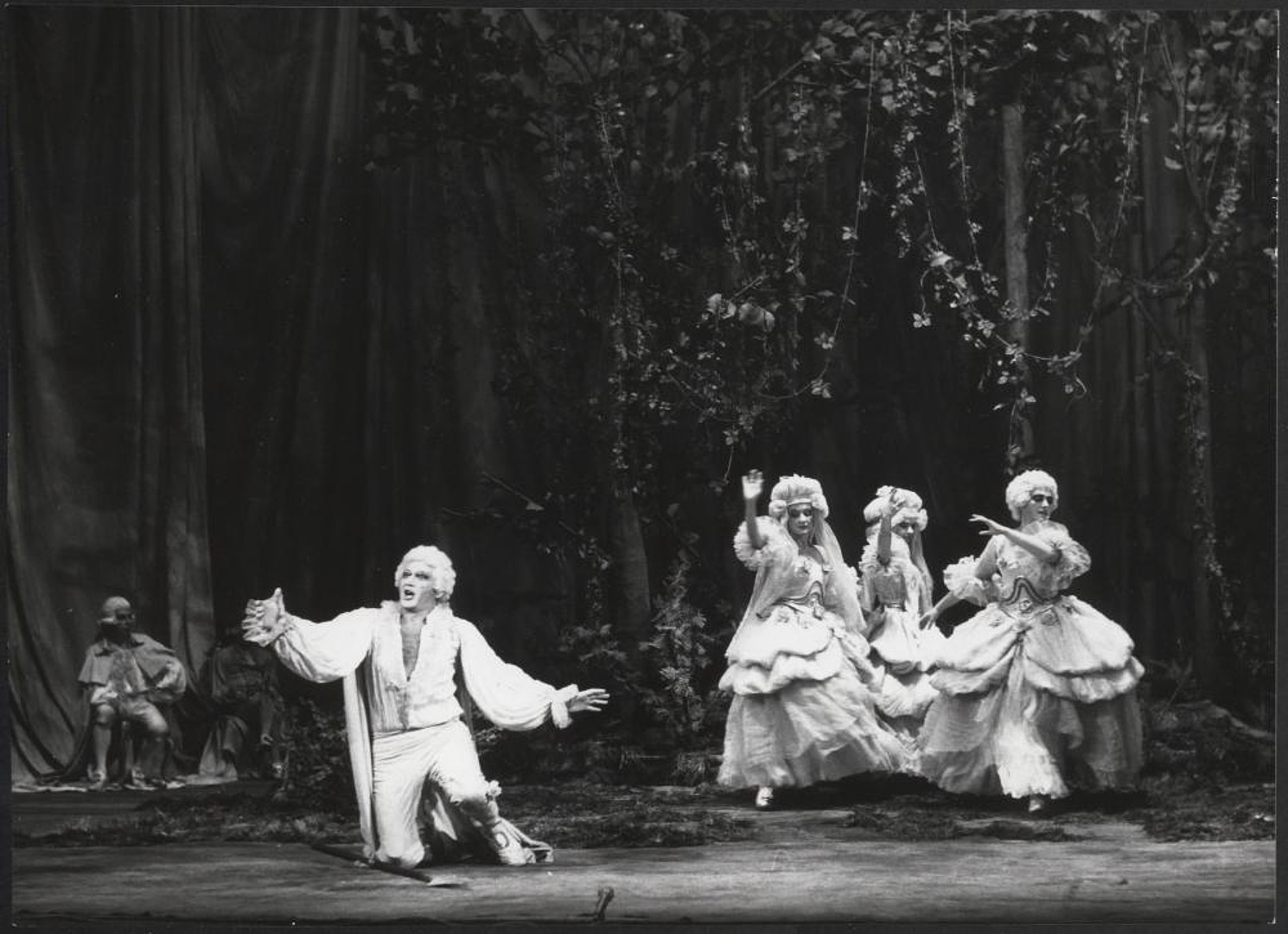 „Narciso” Domenico Scarlatti 14-10-1978
